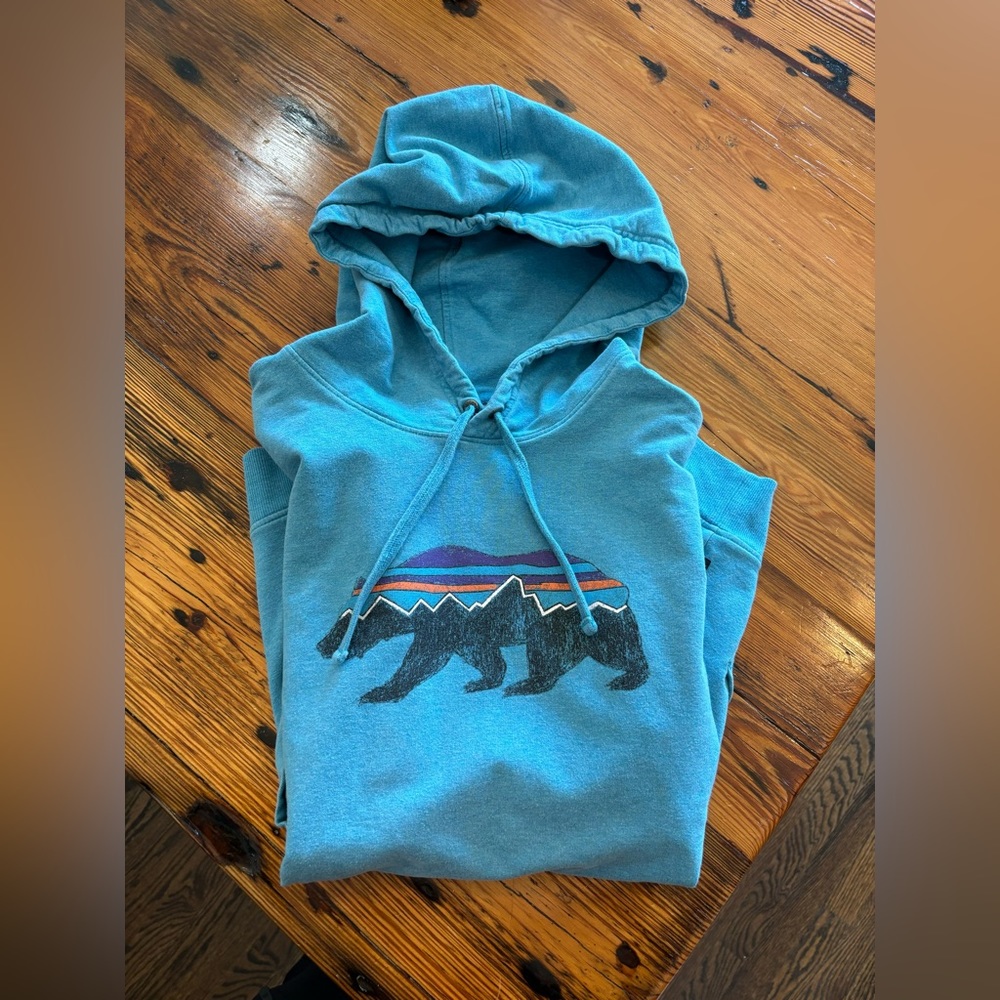Patagonia Fitz Roy Bear Hoody Mens Medium Logo Midweight Fleece Pullover